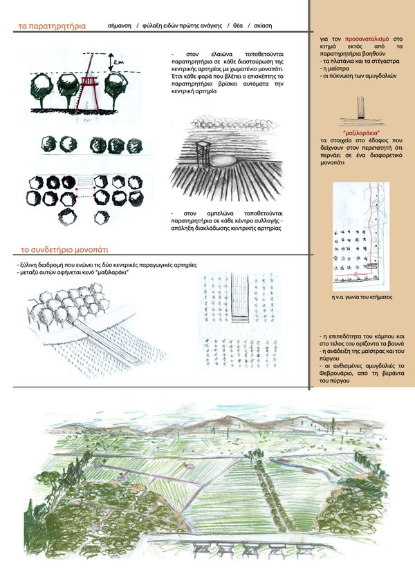 diplomatiki.190.2011.07.jpg