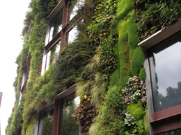 Green Walls-Vertical Gardens