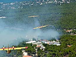 Η ιδιοκτησία στα δάση