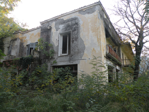 odiporiko.2010.07.161.jpg