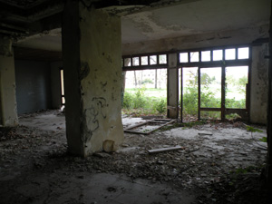 odiporiko.2010.07.163.jpg