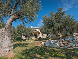 A stone home.Through the olive trees.By the seashore
