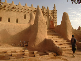 The Lizards of Djenné