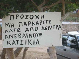 Ο καστανολόγγος στην Όχη