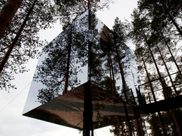 Tree hotel